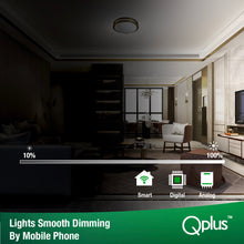 Load image into Gallery viewer, Qplus 12 Inch Smart LED Flush Mount Ceiling Light, Double Ring, WiFi-No Hub, RGB 16 Million Colors &amp; Tunable White (2700K-6500K)15 Watts 1250LM, Works with Alexa &amp; Google Assistant
