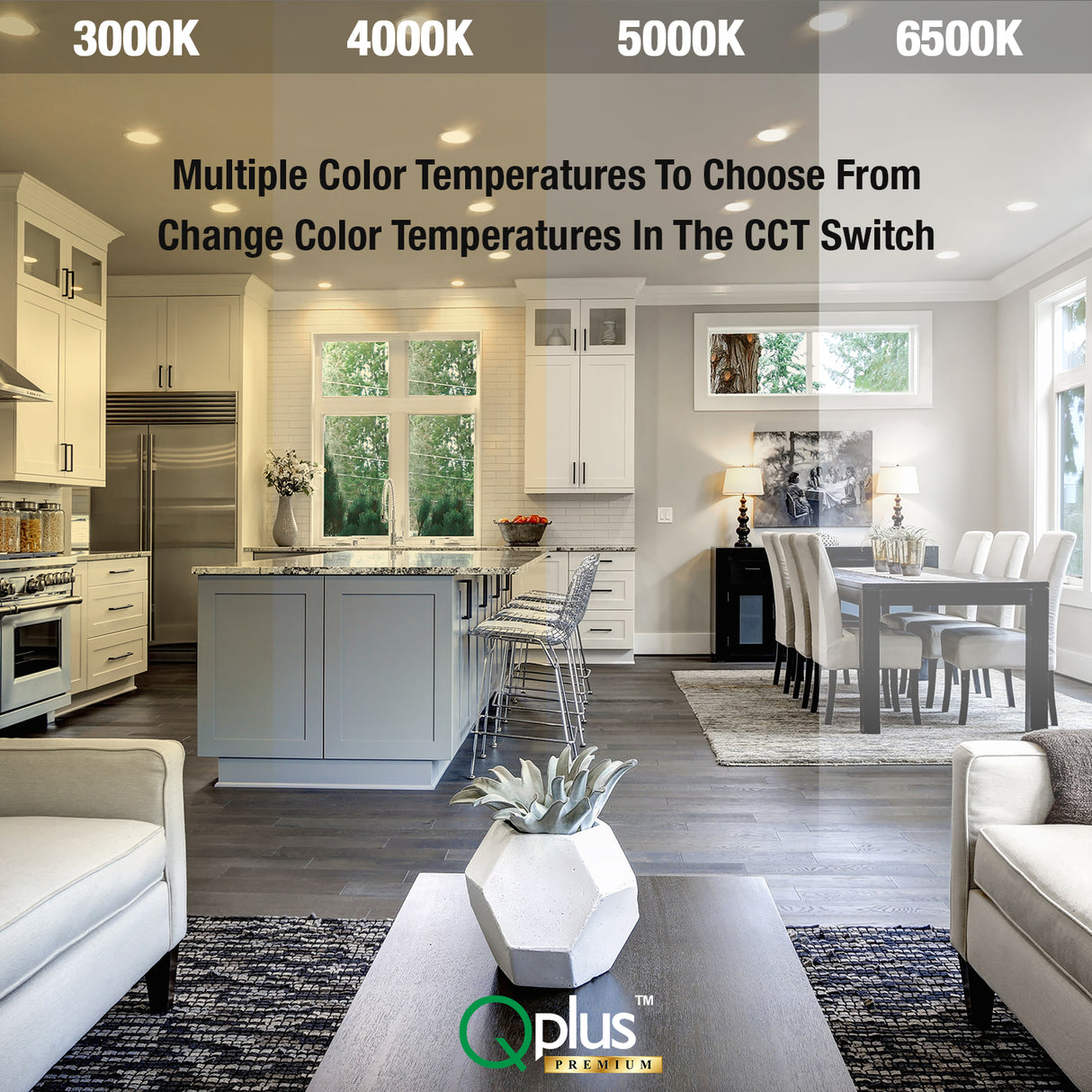 QPlus 9 pouces 4CCT réglable multi couleur température LED détecteur de mouvement encastré 16 W (blanc, argent et bronze) 