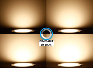 QPlus ST19 Filament LED Light Bulb E26, Dimmable, 7 Watts, Edison Style, 25000 Hours, Energy Star and cULus Listed, 3 Year Warranty